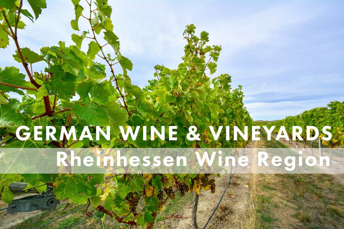 Rheinhessen Wine Region -- German Wine and Regions